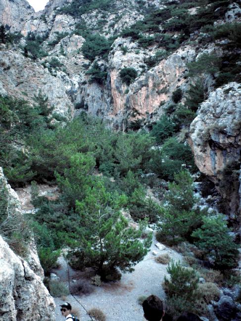 Le canyon de Rouwas, au bout des gorges de Votomos
