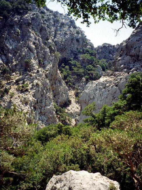 Vue depuis la chapelle