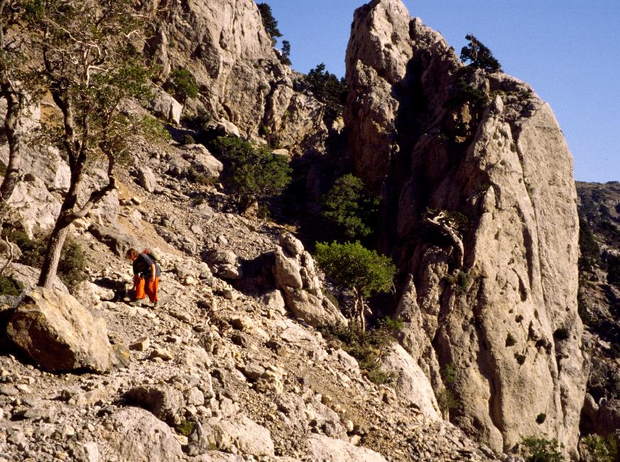 Montée vers le Gigolos (2040m)