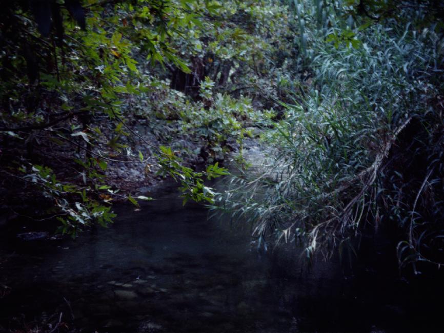 Rivière Kourtaliotiko, vue depuis notre bivouac