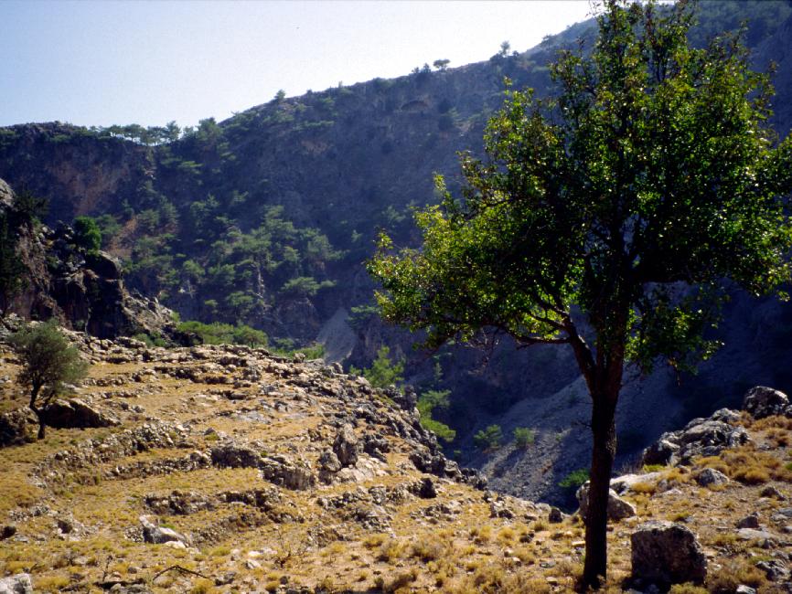 Vue depuis le sommet du canyon