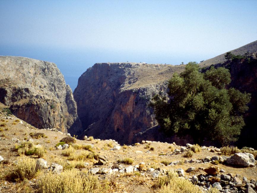 Vue depuis le sommet du canyon