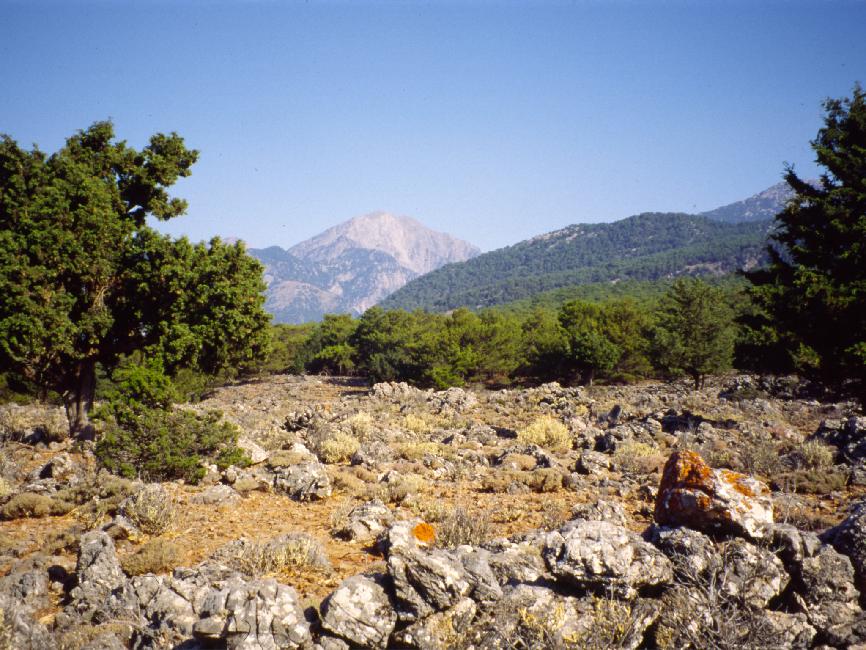 Au dessus d'Agia Roumeli ; nous empruntons un chemin Phénicien qui descend jusque la mer, 1000m en contrebas
