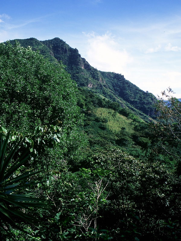 Vue vers le Pico de Cristallinas