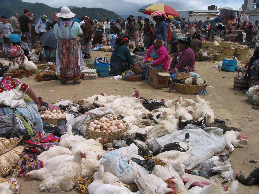 Sur le marché du village