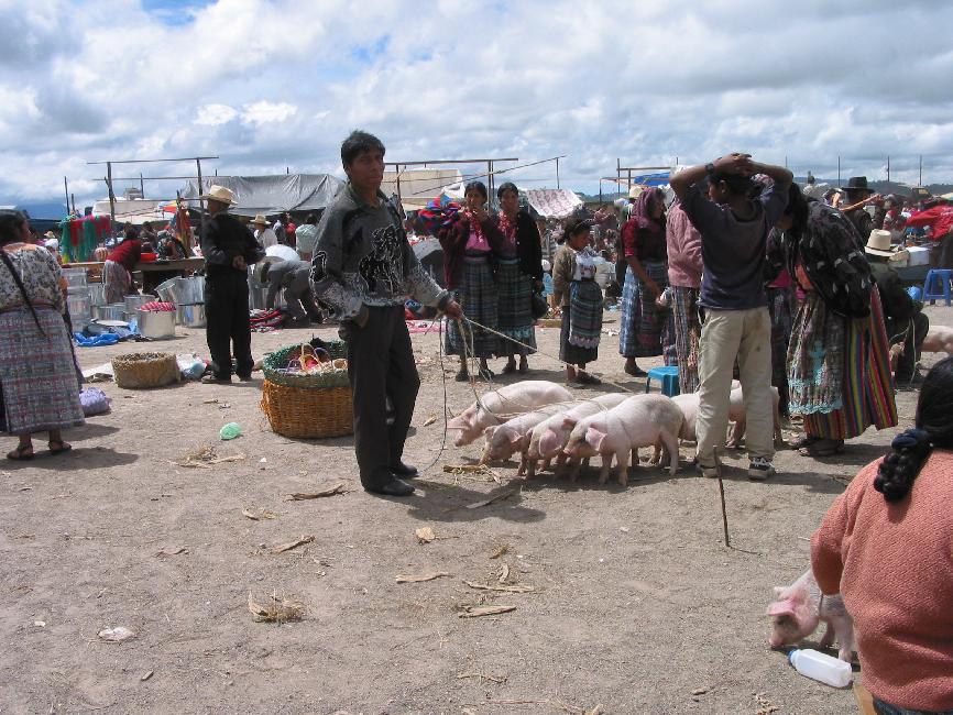 Sur le marché du village