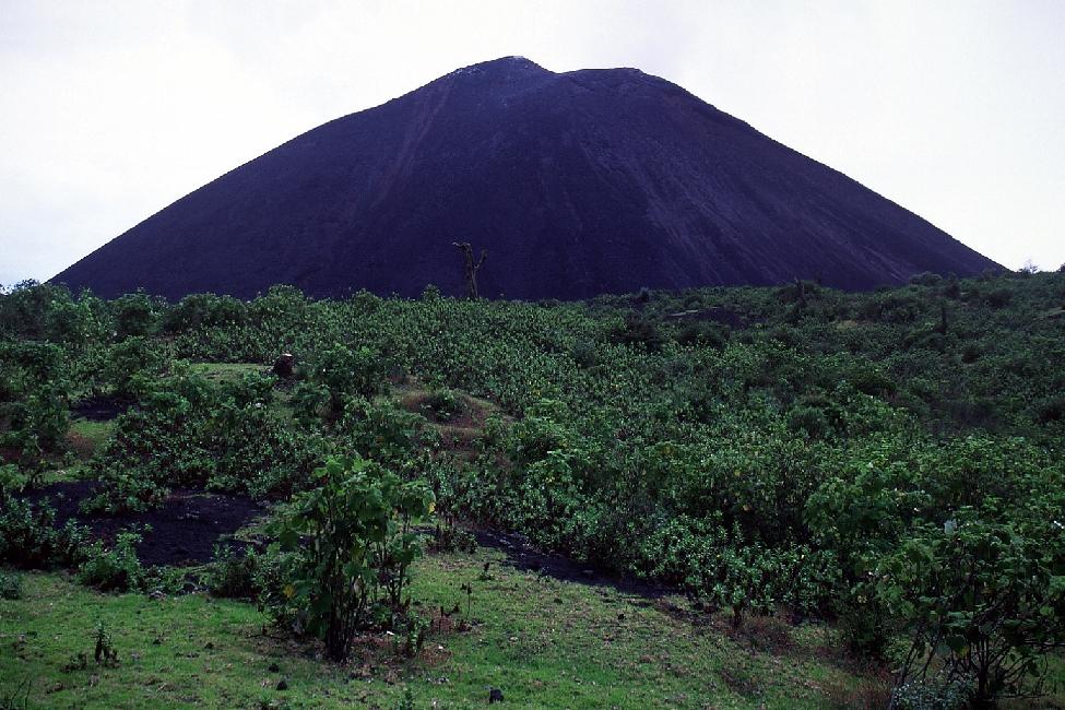 Le sommet du Pacaya