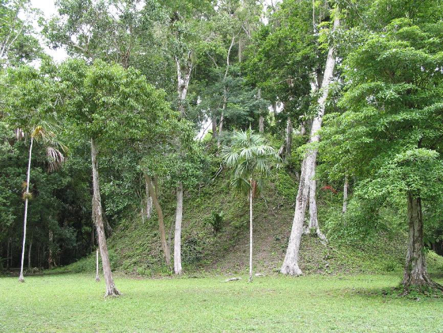 Sa jumelle, elle, n'est pas dégagée de la végétation !