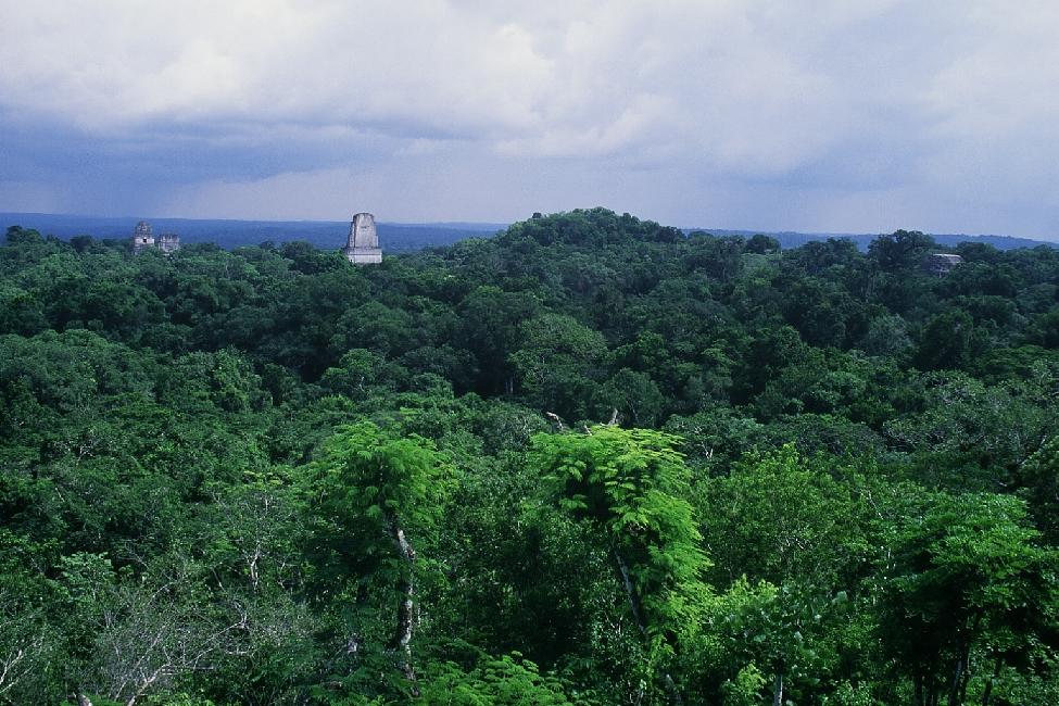 Vue générale depuis le sommet du temple IV
