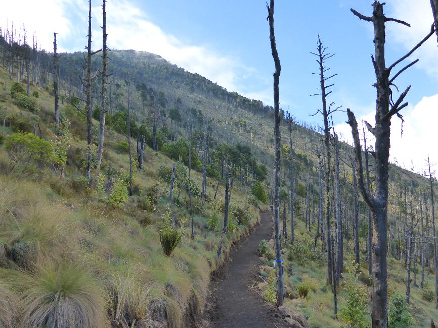 Traces de l'incendie