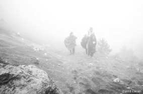 Coup de froid, le 11/01/2017