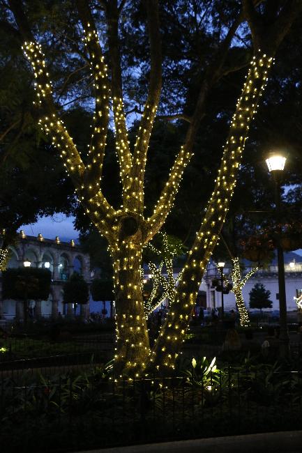 Décorations de Noël