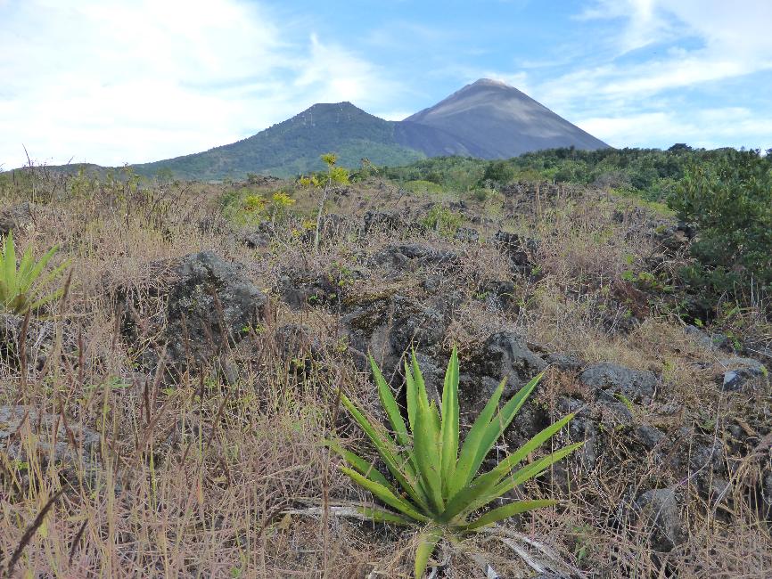 Point de vue sur le volcan