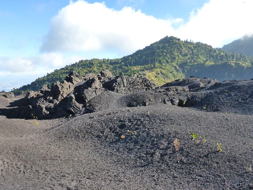 Montée vers le Pacaya