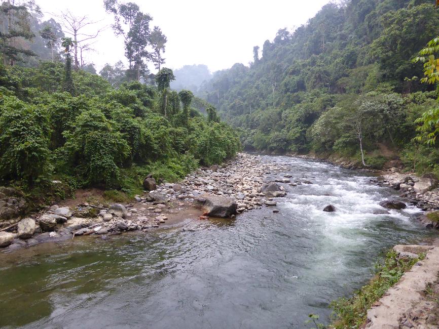 Balade au bord de la rivière