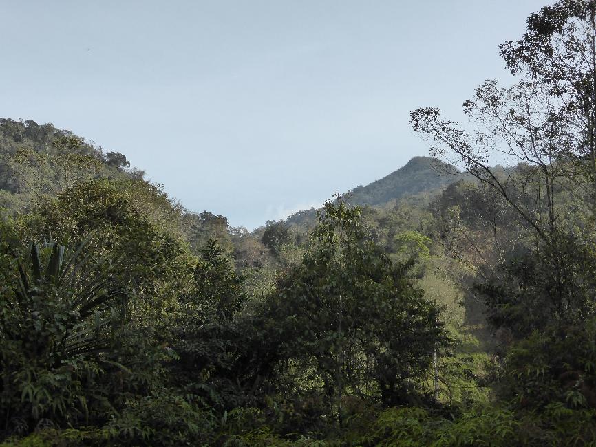 Vue vers la crête, depuis le début de la balade