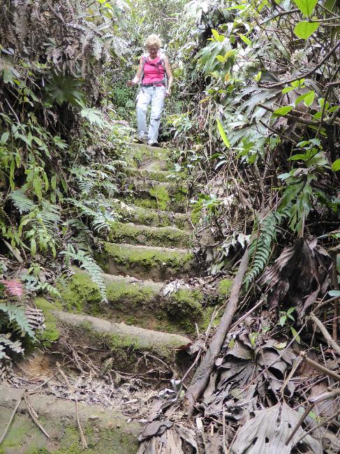 La redescente est très raide, et il est impossible de s'écarter du chemin