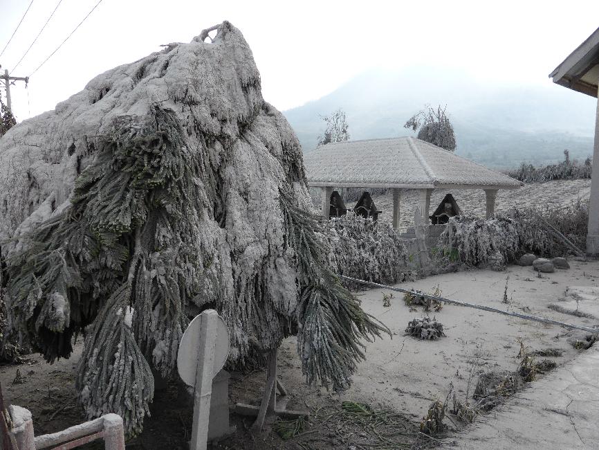 Cour de l'église : ce n'est pas de la neige....