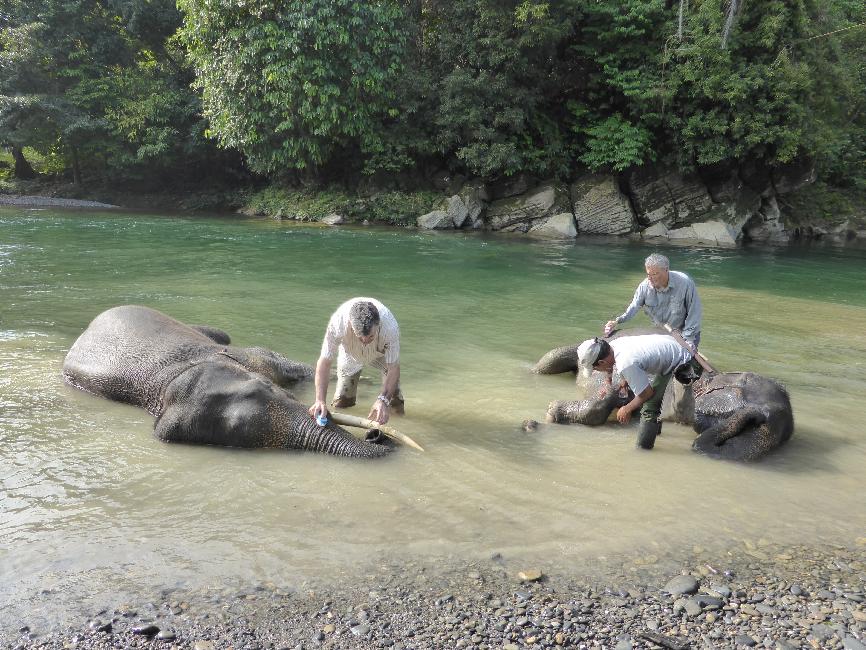 On se laisse nettoyer gentiment
