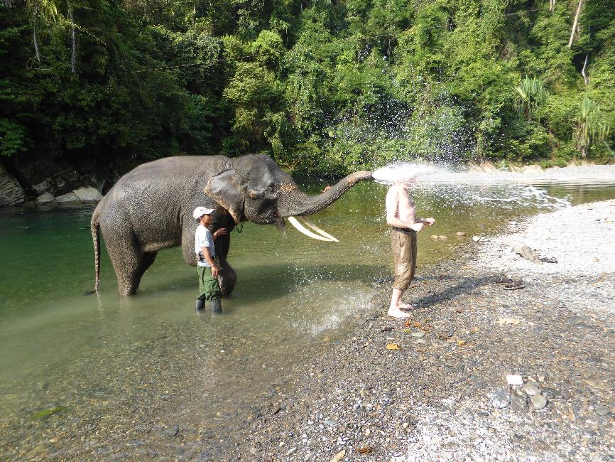 On n'accepte que les touristes propres....