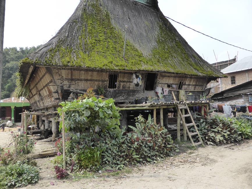 Maison batak, à Dokan