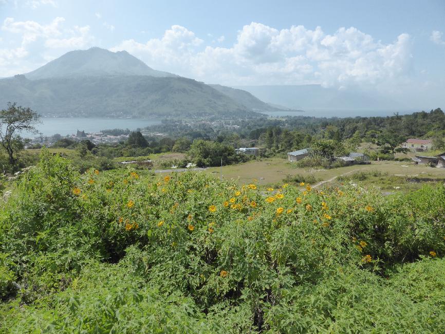 Isthme de Pangururan