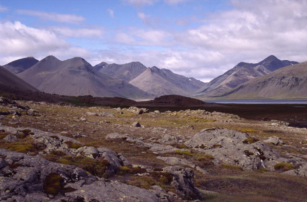 La côte près de Höfn 