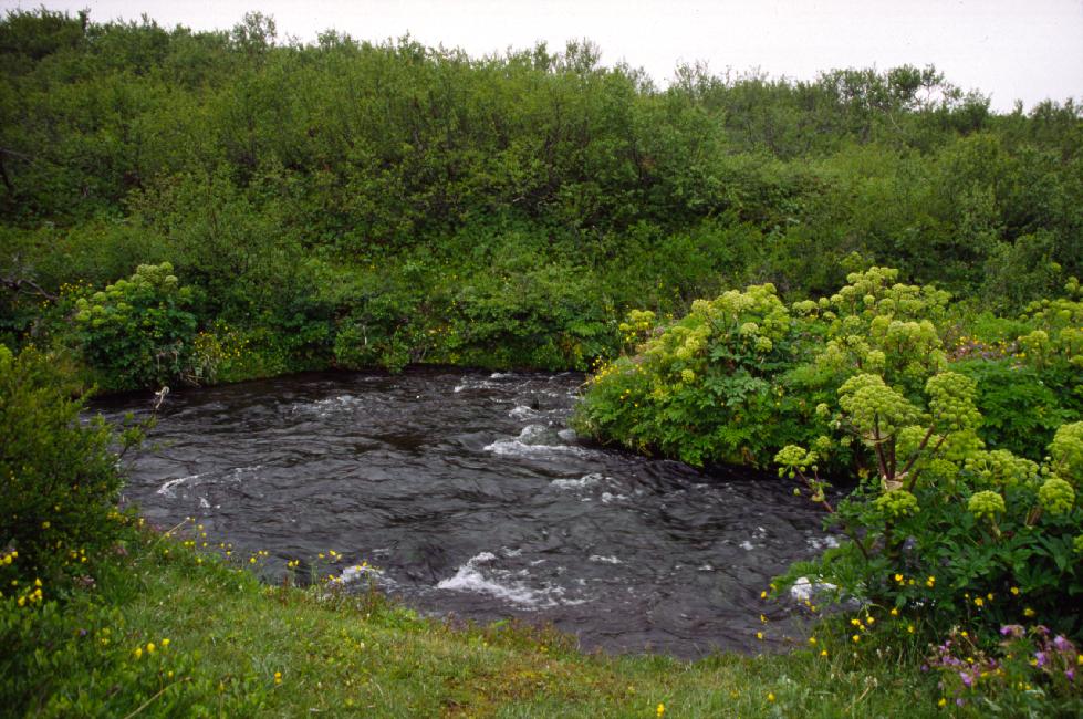 Parc naturel d'Asbyrgi 