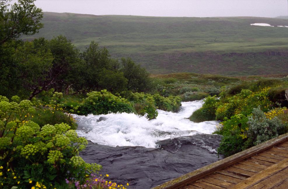 Parc naturel d'Asbyrgi 
