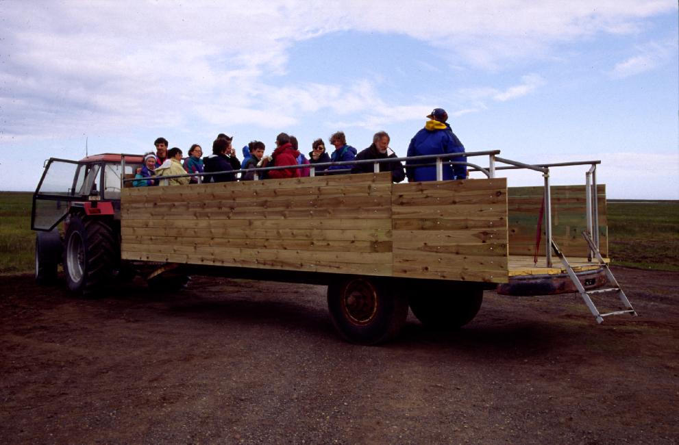 En voiture pour la visite de la réserve ornithologique d'Ingolfshöfdi 