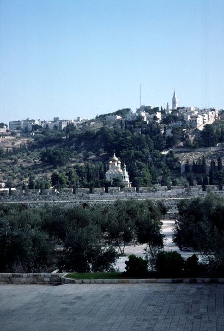 Vue vers le mont Skopus 