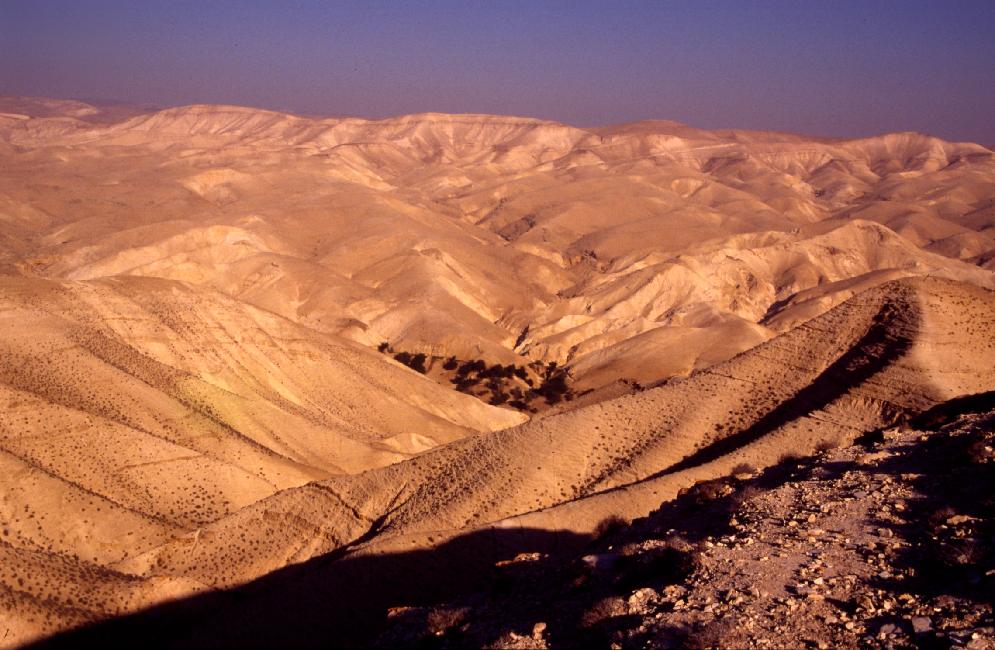 Entre Jerusalem et Jericho