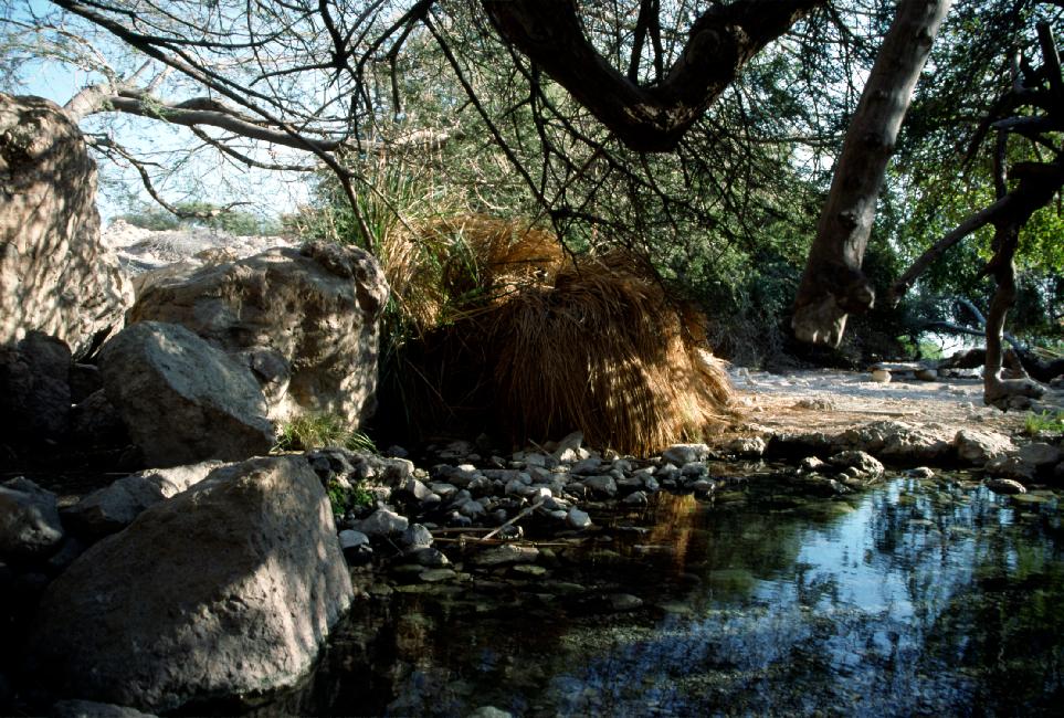 Source rafraichissante, près du canyon David