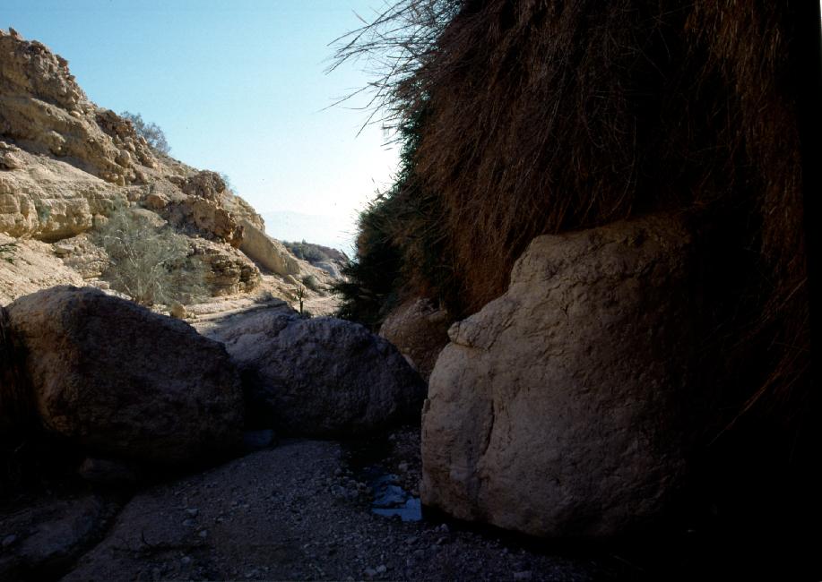 Canyon David, approche de la cascade