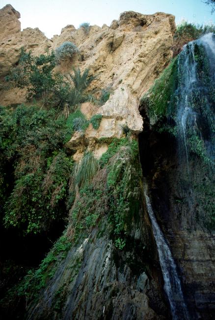 Cascade du nachal Arougot, dans le canyon David