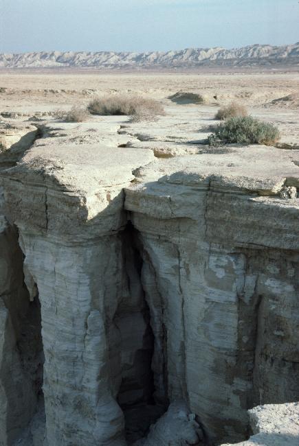 Grottes de farine : le plateau