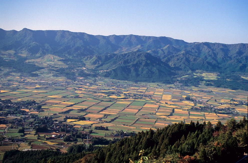 L'intérieur du cratère de l'Aso est très fertile !