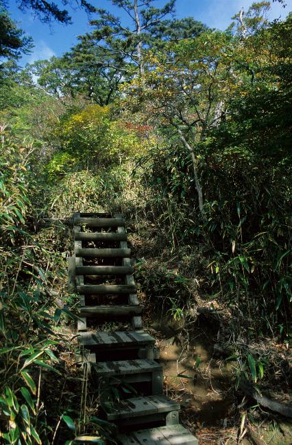 Les chemins sont souvent remarquablement aménagés.