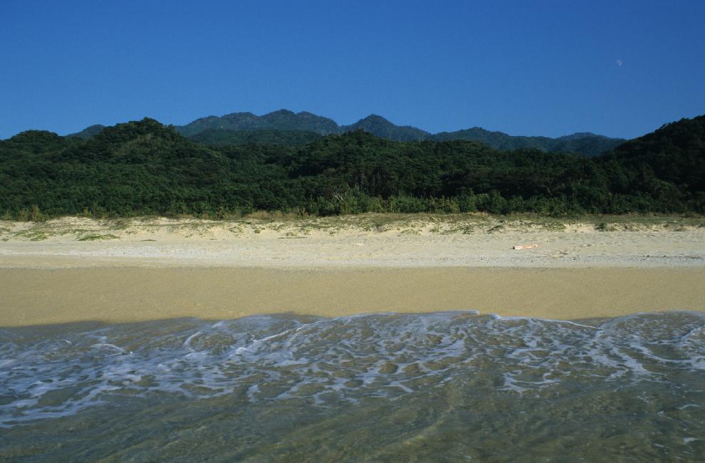 Nous n'avons pas résisté à l'envie de baignade...