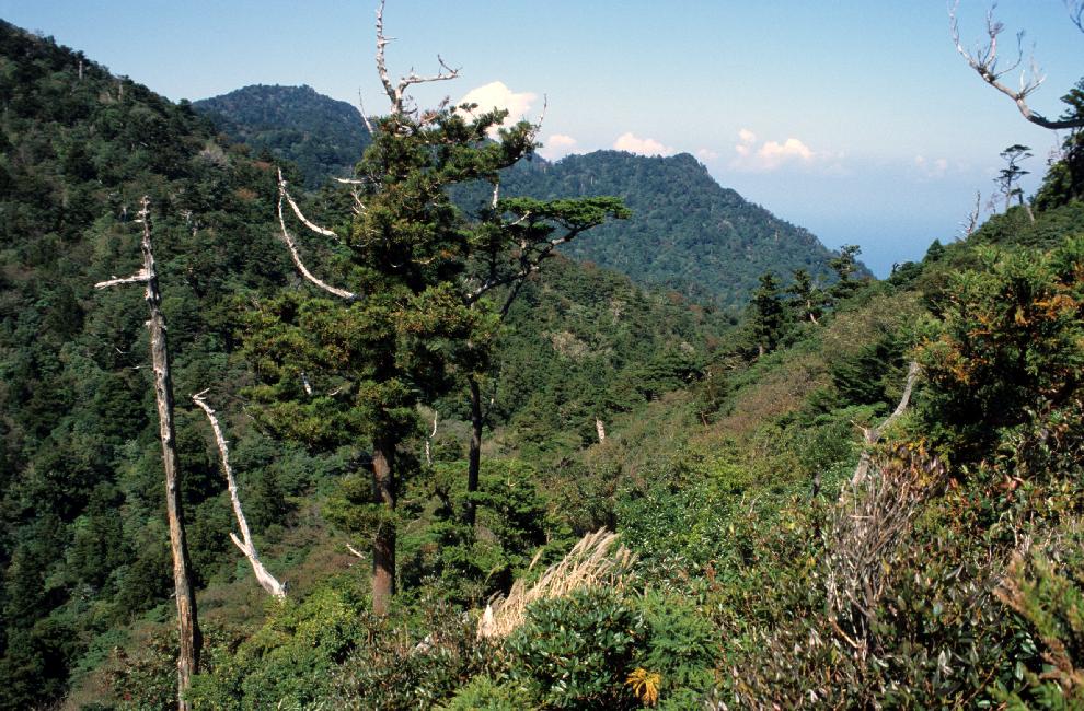 En route vers les sommets de l'île !