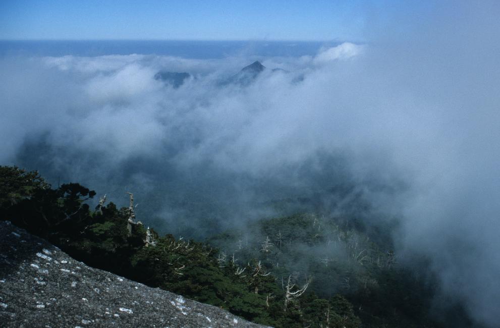 Il paraît que des touristes se perdent fréquemment sur ces sommets...