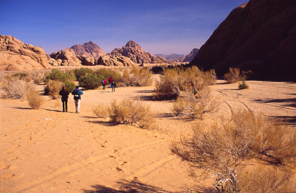 En route vers l'arche, au petit matin