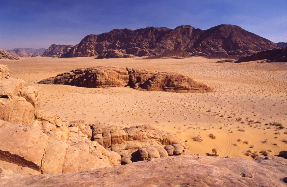 Pendant la montée vers l'arche