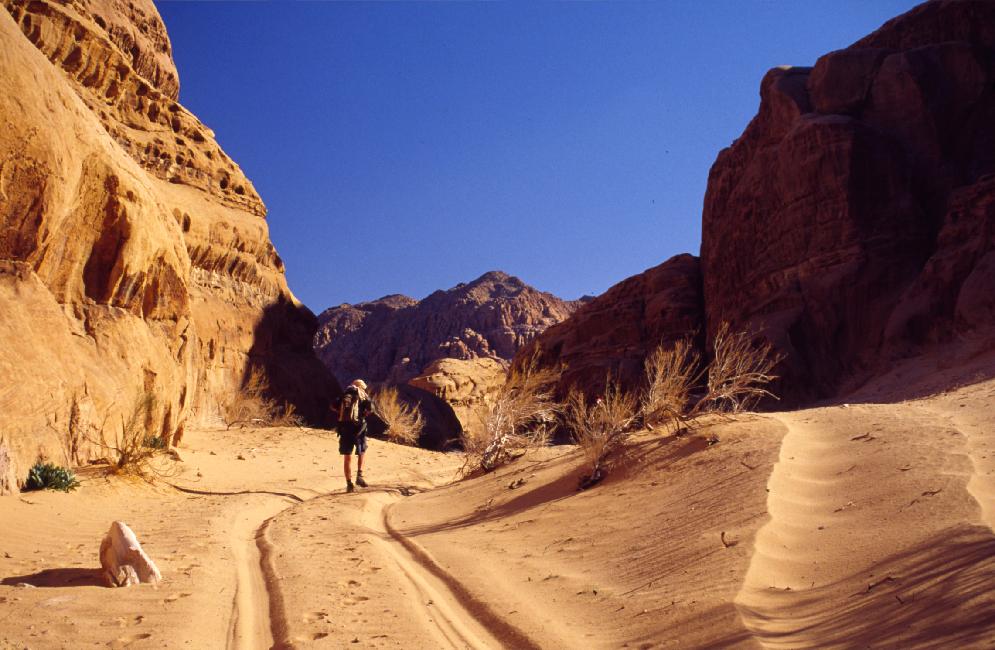 Balade dans le Wadi Rum