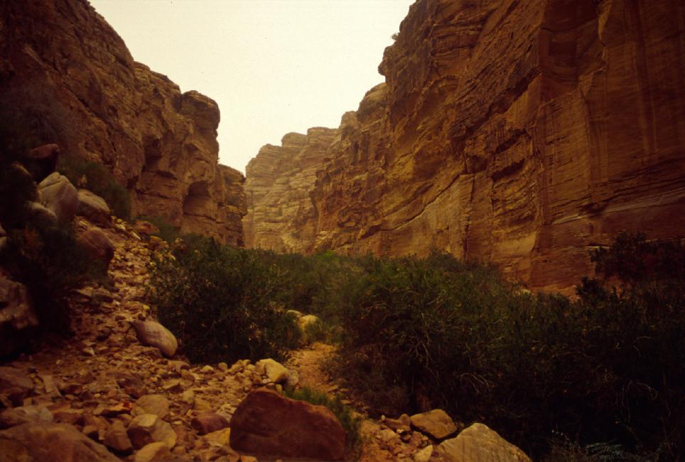 Oued ; le vent de sable se lève et va bientôt complètement boucher la vue