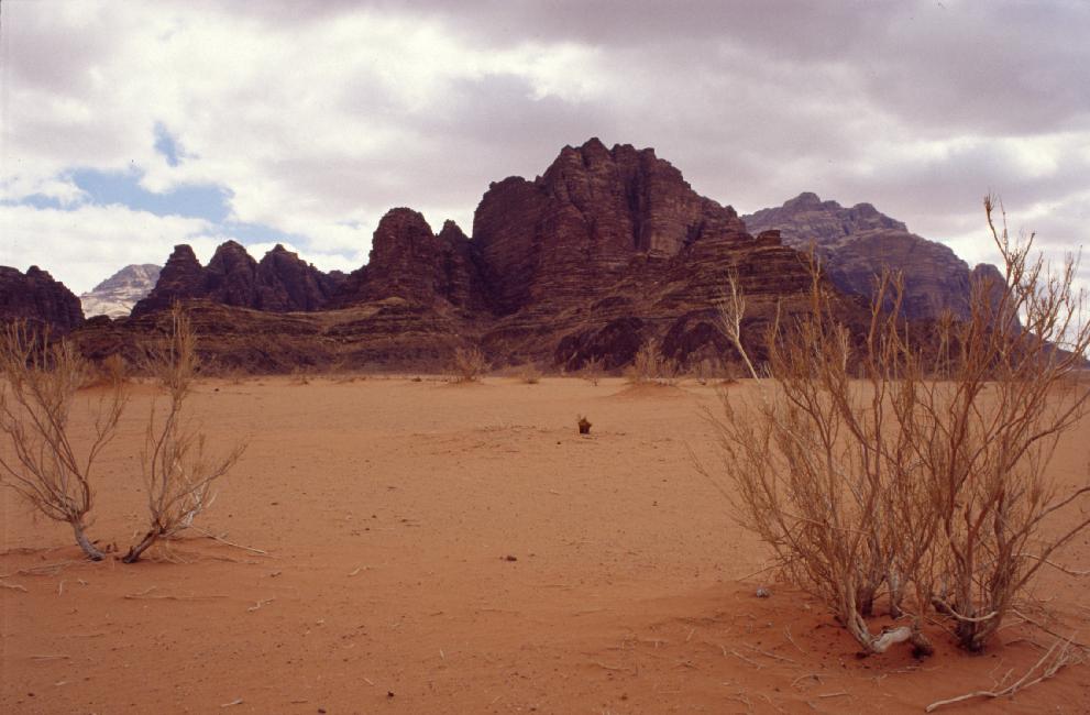 Le désert de sable est semé de massifs de grés