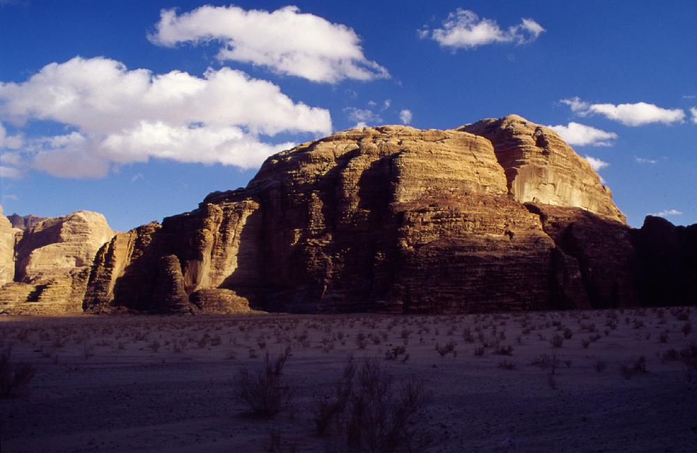 Photo du groupe, en extase devant un champignon