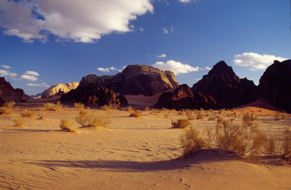 A proximité du bivouac, au petit matin
