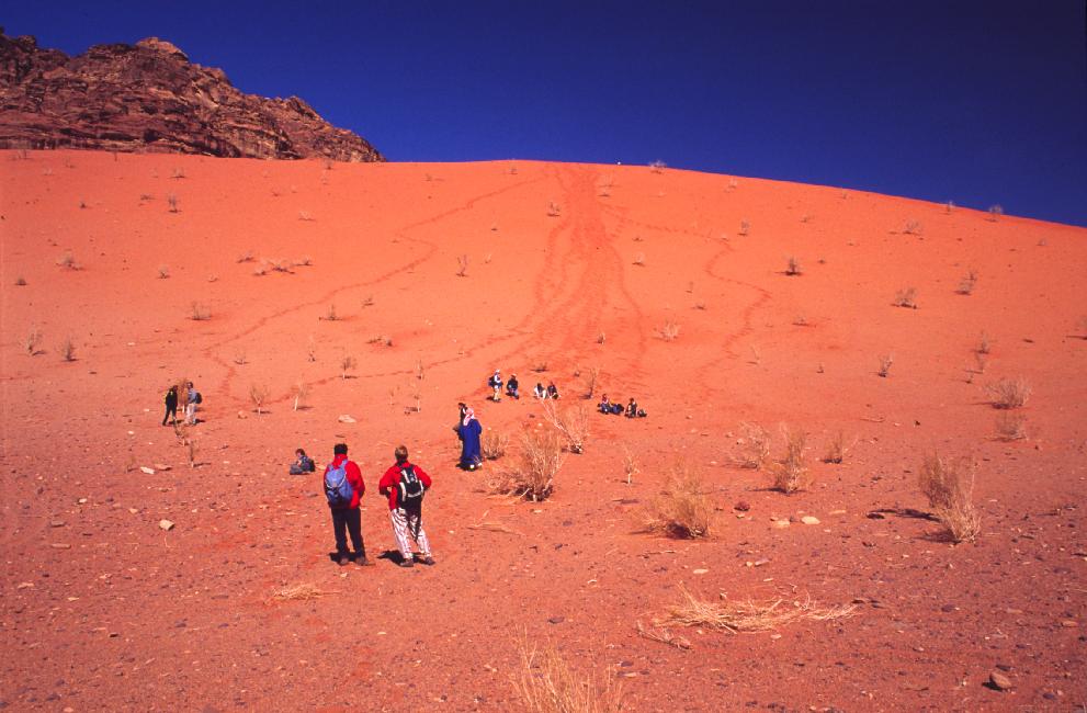 La redescente de cette dune s'est effectuée au pas de course !
