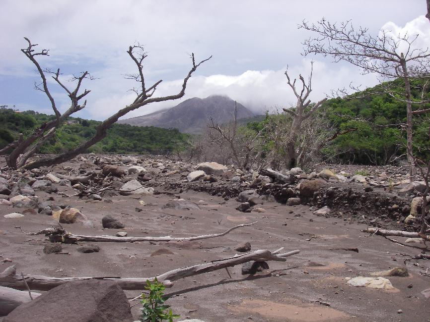 Embouchure de la Belham, nivelée par les lahars